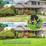 Ohuhu Lawn Aerator Shoes with Hook & Loop Straps - Image 4
