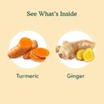 VAHDAM Turmeric Ginger Herbal Tea Bags (100 Count) - Image 2